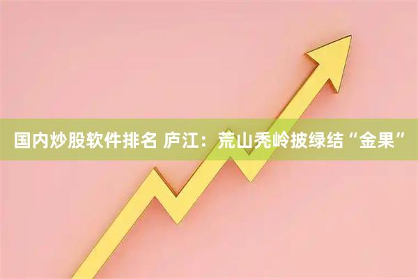 国内炒股软件排名 庐江：荒山秃岭披绿结“金果”