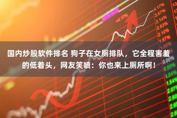 国内炒股软件排名 狗子在女厕排队，它全程害羞的低着头，网友笑喷：你也来上厕所啊！