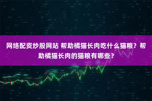 网络配资炒股网站 帮助橘猫长肉吃什么猫粮？帮助橘猫长肉的猫粮有哪些？