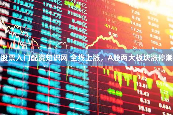股票入门配资知识网 全线上涨，A股两大板块涨停潮