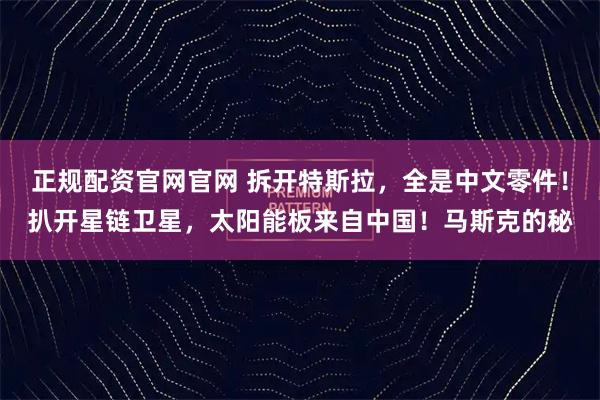 正规配资官网官网 拆开特斯拉，全是中文零件！扒开星链卫星，太阳能板来自中国！马斯克的秘
